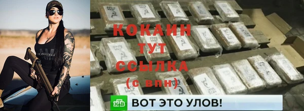 соль ск Козельск