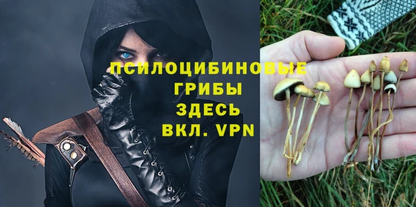 a pvp Кодинск