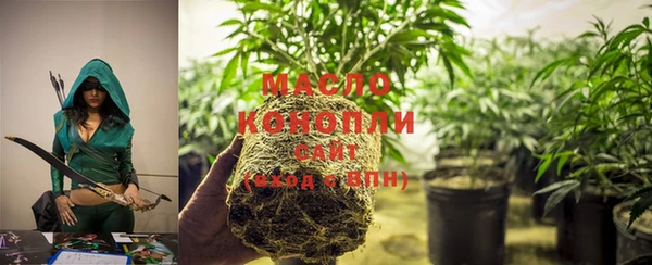 соль ск Козельск