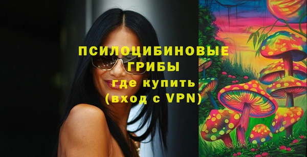 a pvp Кодинск