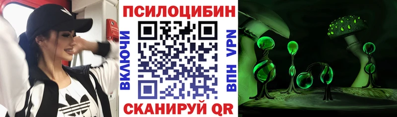 Псилоцибиновые грибы MAGIC MUSHROOMS  Купить закладки  Канск 
